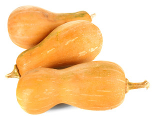 Ripe pumpkins isolated on white