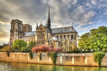 Notre Dame de Paris Cathedral - obrazy, fototapety, plakaty