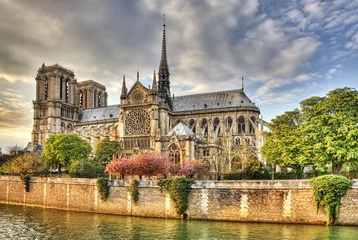 Schilderijen op glas Kathedraal Notre Dame de Paris © Provisualstock.com