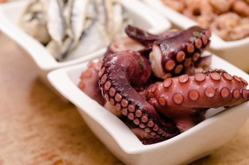 Krake mit Saugnäpfen als Vorspeise