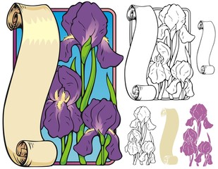 Iris bookplate with variations