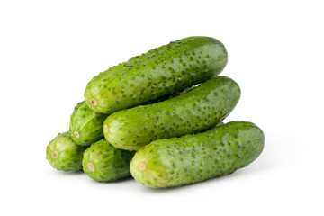Cucumber