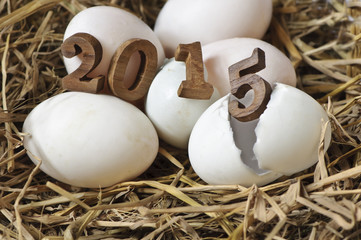 HaHappy New Year 2015 on a nest of hay, eggs concept.