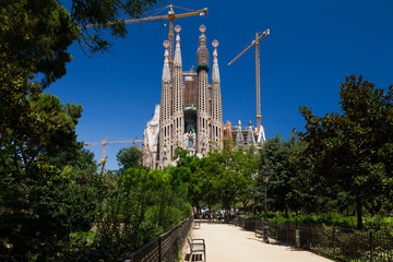 Obraz premium Sagrada Familia