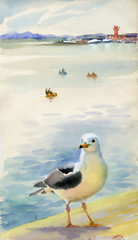 Watercolor seagulls - 56685973