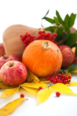 Autumnal pumpkins, apples and ashberry with fall leaves