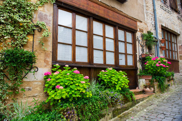 Fototapeta na wymiar House with little front garden