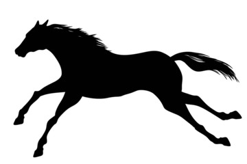 Silhouettes of Horse