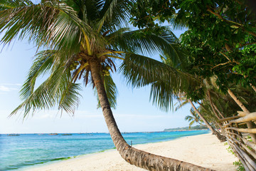 Perfekter weißer Strand auf Boracay, Philippinen