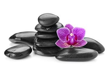 orchid
