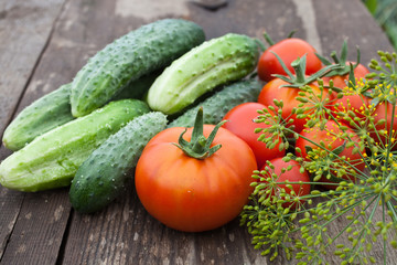 cucumbers, tomatoes and fennel seed