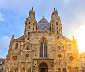 Gordijnen St. Stephan cathedral in Vienna © sborisov