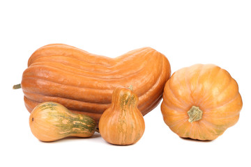 Four diffrents orange pumpkins