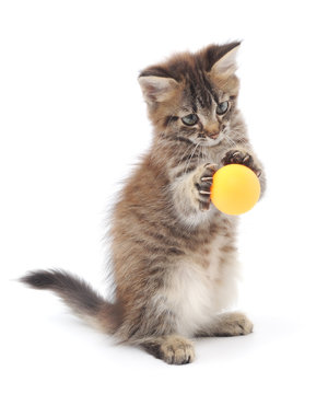 Kitten Playing with Ball