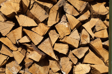 stack of firewood prepared for winter