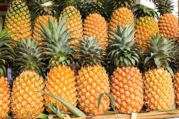 Row of Honey Pineapples