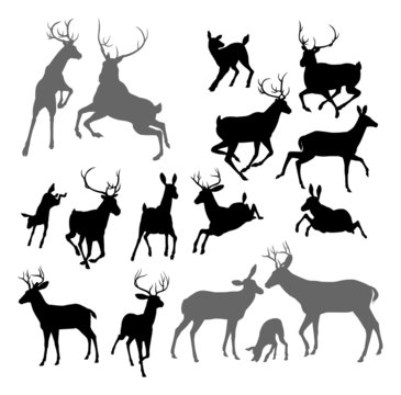 Deer animal silhouettes