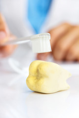 molar with dentist background, dental hygiene concept