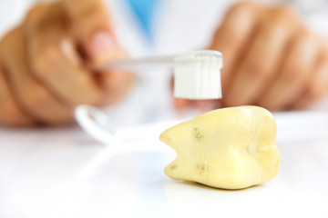 Obraz na płótnie Canvas dentysta gospodarstwa szczotkowanie zębów, higiena stomatologiczna koncepcja