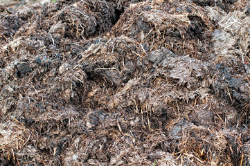 Manure compost