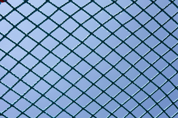 Fototapeta premium ネット