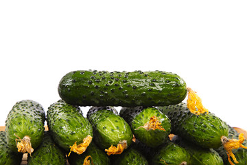 Fresh cucumbers in water drops isolated on a white background.