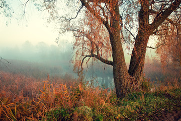 Fototapeta premium Mystical autumn landscape