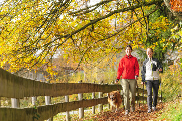Fototapeta premium Nordic Walking im Herbst