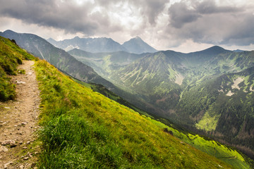 Panoramic view of mountain peaks from the trail in summer - obrazy, fototapety, plakaty
