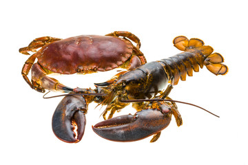 Raw Lobster and Crab