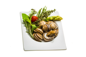 Escargot with asparagus, rosemary, thymus and tomato