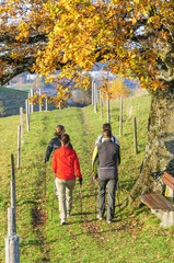 herbstliche Walking-Tour