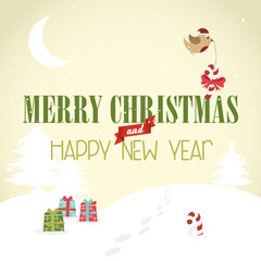 Merry Christmas and Happy New Year Card