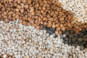 Stones in the garden