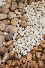 Stones in the garden