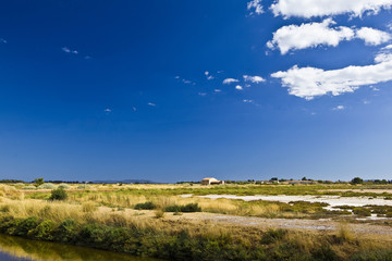 Dans le Var,pr&egrave;s d'Hy&egrave;res