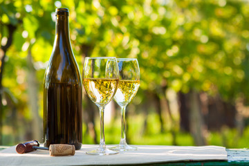 Two glasses of white wine © Rostislav Sedlacek