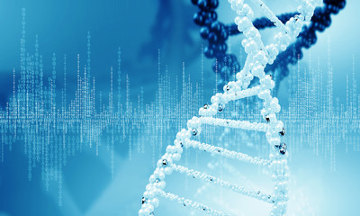 DNA molecule