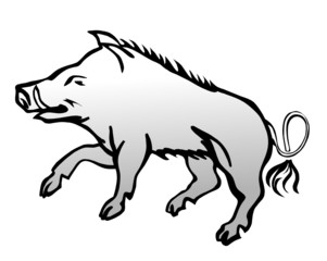 wildschwein3009a