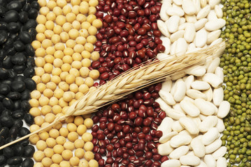 mixed beans and wheat
