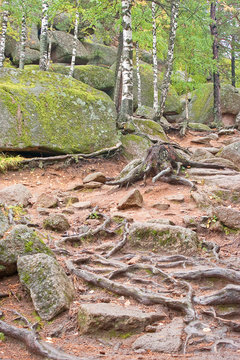 State Nature Reserve "Stolb" (Pillars)