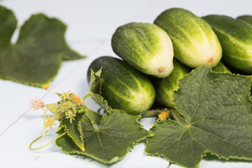 Cucumbers with leaves on wooden table