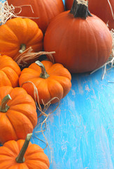 Pumpkins. Selective focus