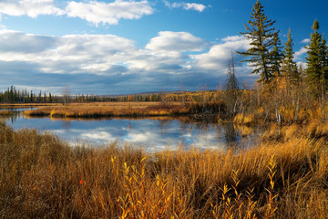 Lake near Fairbanks with dry high yellow grass in autumn