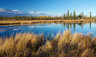 Lake with reflection of dry yellow grass and trees