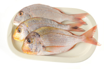 Pesce fresco pescato
