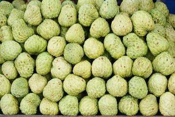 Sugar Apple, Annona squamosa L., ANNONACEAE.