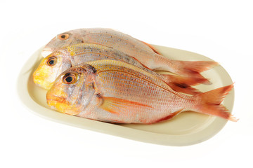 Pesce fresco pescato