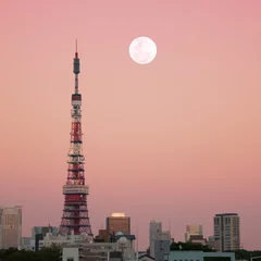 Foto op Canvas Tokyo Tower © Joshua Davenport