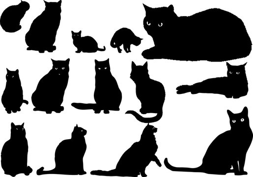 Fourteen cat silhouettes